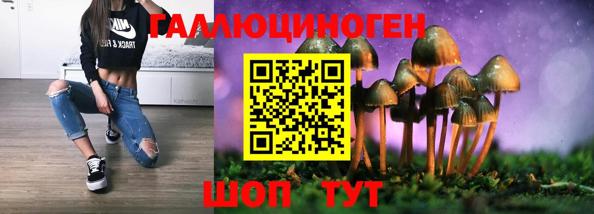Псилоцибиновые грибы Psilocybe  Вход с VPN  Новозыбков 
